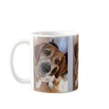 犬の子犬の恋人3カスタム枚の写真