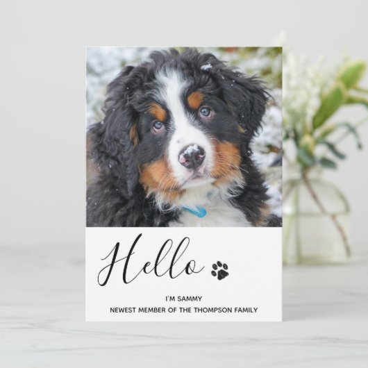 犬の子犬の新しいペットの発表 招待状 (スタンド正面)