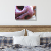 犬の子犬の鼻 キャンバスプリント (インサイチュ (寝室))