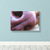 犬の子犬の鼻 キャンバスプリント (インサイチュ (ウッドフロア))