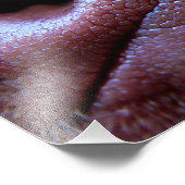 犬の子犬の鼻 フォトプリント            (角)