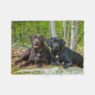 犬の子犬ブラックラボチョコレートラブラドール回収 フリースブランケット