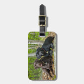 犬の子犬ブラックラボチョコレートラブラドール回収 ラゲッジタグ (正面縦)