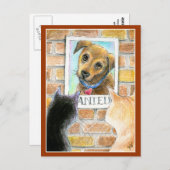 犬の子犬、猫、「指名手配」のポスターカード ポストカード (正面/裏面)