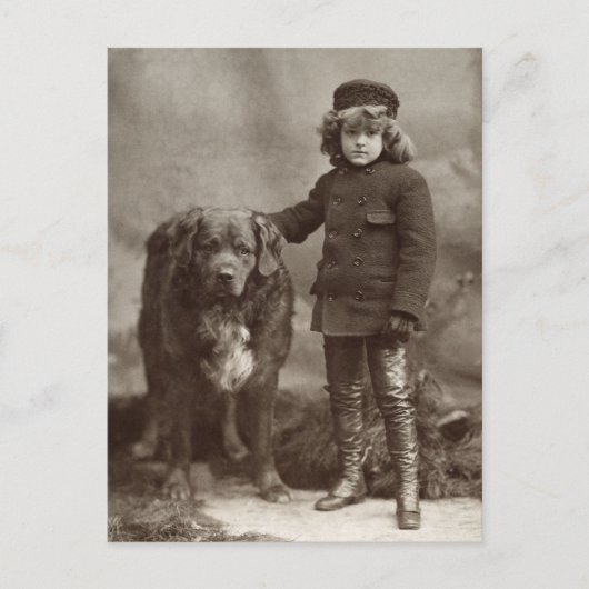 犬の子， C1885 ポストカード (正面)