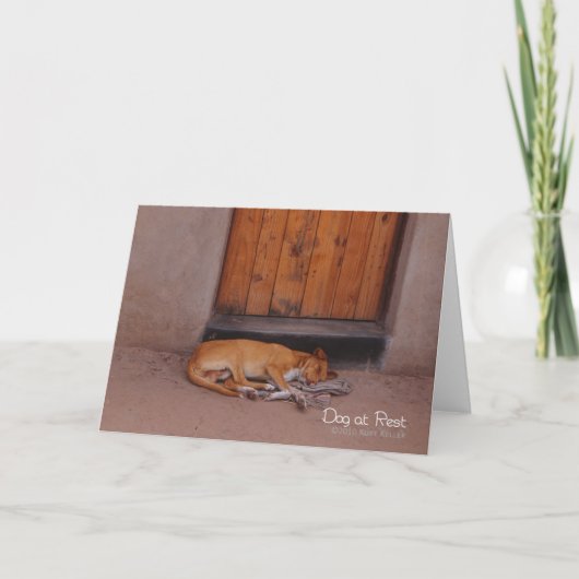 犬の安静時 カード (正面)