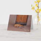 犬の安静時 カード (黄色い花)