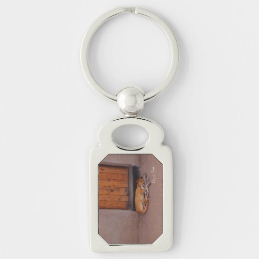 犬の安静時 キーホルダー (正面)