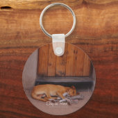 犬の安静時 キーホルダー (正面)