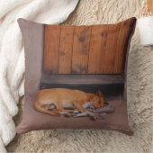 犬の安静時 クッション (ブランケット)