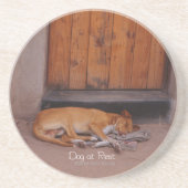 犬の安静時 コースター (正面)