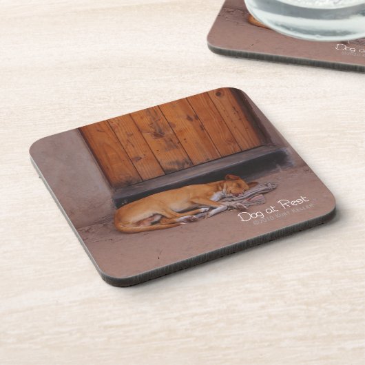 犬の安静時 コースター (左側)