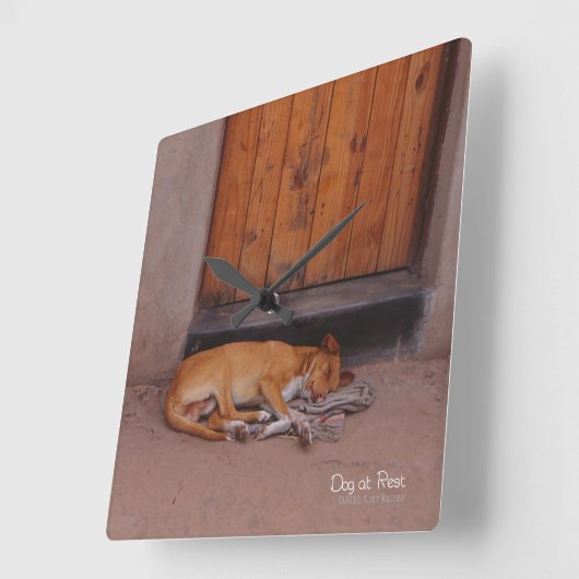 犬の安静時 スクエア壁時計 (傾斜)
