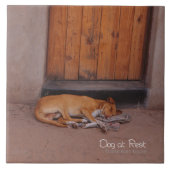 犬の安静時 タイル (正面)