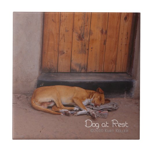 犬の安静時 タイル (正面)