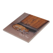 犬の安静時 タイル (側面)