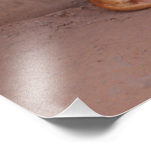 犬の安静時 フォトプリント (角)