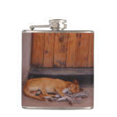 犬の安静時 フラスク (正面)