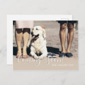 犬の家族の写真来の間の妊娠ベビー 案内ポストカード (正面/裏面)
