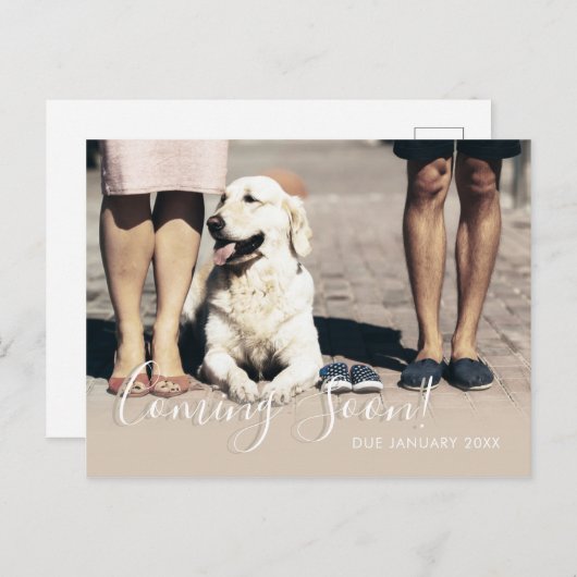 犬の家族の写真来の間の妊娠ベビー 案内ポストカード (正面/裏面)