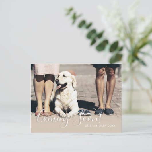 犬の家族の写真来の間の妊娠ベビー 案内ポストカード (スタンド正面)