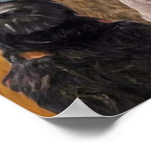 犬の島 ポスター (角)