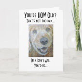 犬の年齢 カード (正面)