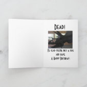 犬の年齢 カード (内部)