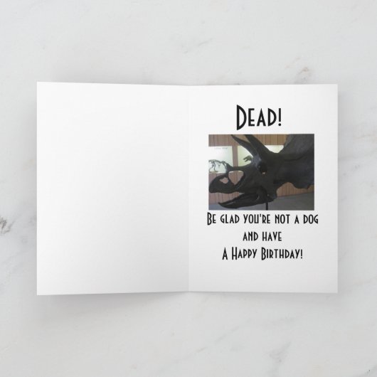 犬の年齢 カード (内部)