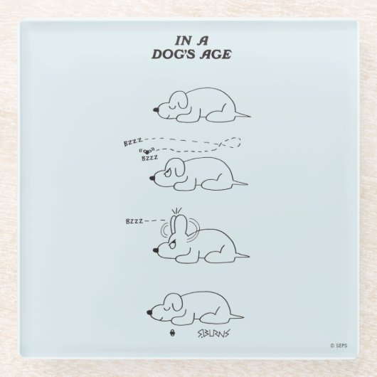 犬の年齢 ガラスコースター (正面)