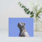 犬の年… ポストカード (スタンド正面)