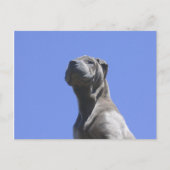 犬の年… ポストカード (正面)