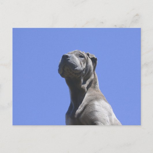 犬の年… ポストカード (正面)