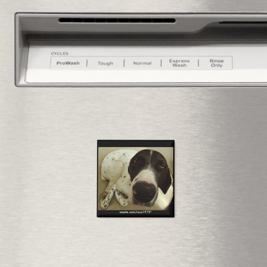 犬の年 マグネット (インサイチュ (食洗機))