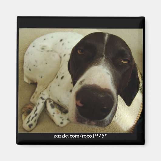 犬の年 マグネット (正面)