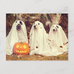 犬の幽霊コスチューム面白いハロウィーン ポストカード