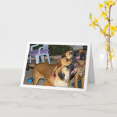 犬の座る肖像 カード (黄色い花)