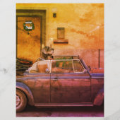 犬の引き裂きカラフル チラシ (裏面)