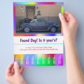 犬の引き裂きカラフル チラシ (手)