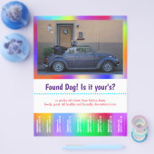 犬の引き裂きカラフル チラシ (シングル)