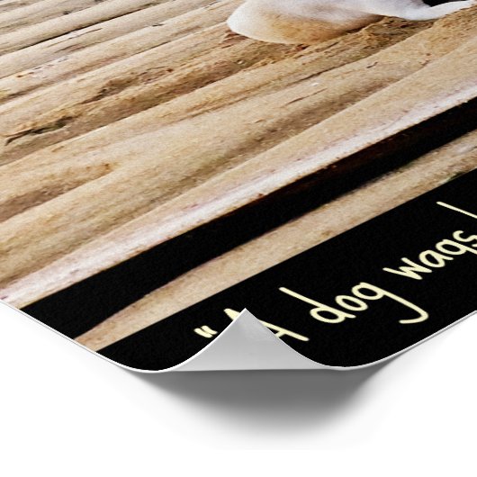 犬の引用文ポスター ポスター (角)