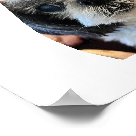 犬の形の写真コラージュポスター ポスター (角)