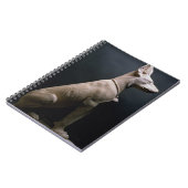 犬の彫像、メソポタミア、紀元前のc.5000-1000 (ライム ノートブック (左側)