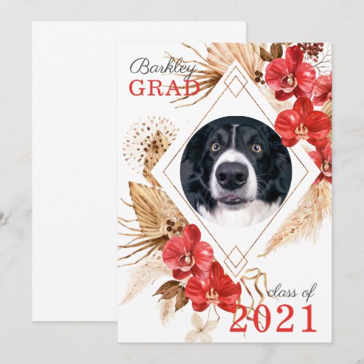 犬の従順クラス卒業 案内状 (正面/裏面)