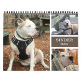 犬の思い出のパーソナライズされた作成 カレンダー (カバー)