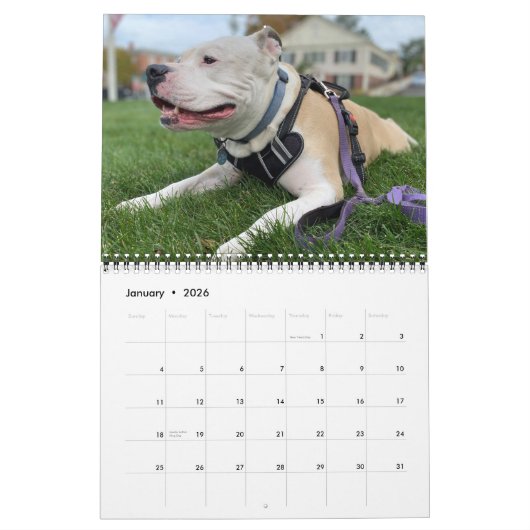 犬の思い出のパーソナライズされた作成 カレンダー (1月 2026)