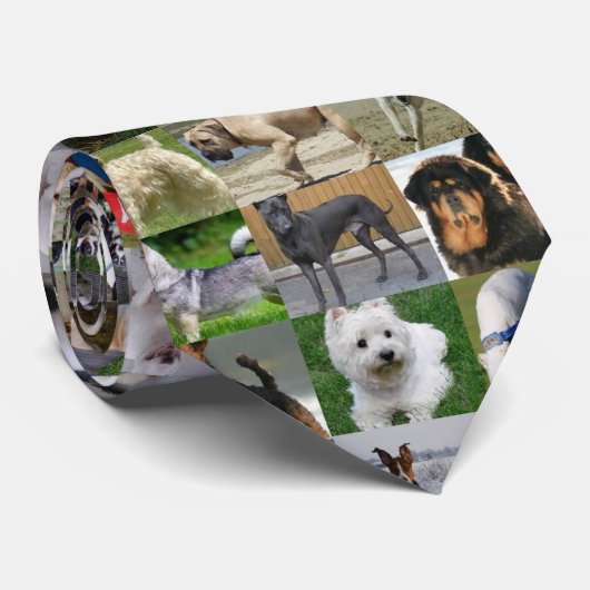 犬の恋人のタイ ネクタイ (ロール)