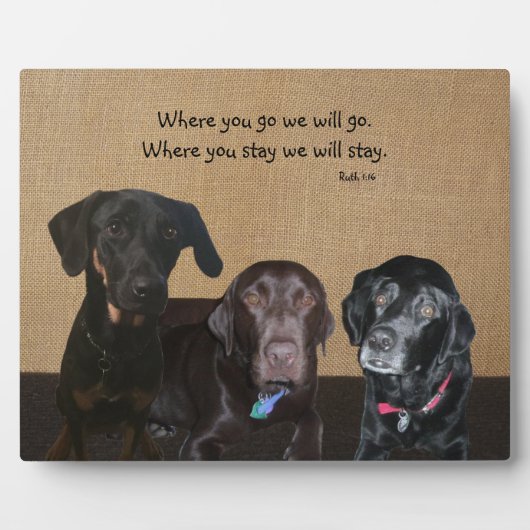 犬の恋人のプラーク フォトプラーク (正面)