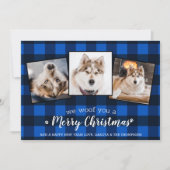 犬の恋人カスタム3ペット写真ブループレイドクリスマス シーズンカード (正面)
