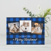 犬の恋人カスタム3ペット写真ブループレイドクリスマス シーズンカード (スタンド正面)